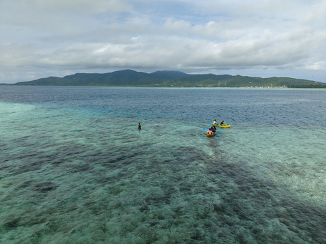 Aerial view of people canoeing in turquoise waters meeting the horizon revealing a lush green mountain landscape in the distance Karimunjawa Central Java Indonesia