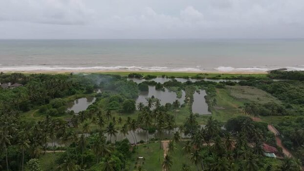 Aerial view of coastal wetlands and palm trees in Sri Lanka.
