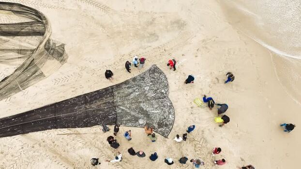 Aerial view of fishermen with nets on the beach Portugal. Aerial view of fishermen with nets on the beach Portugal.