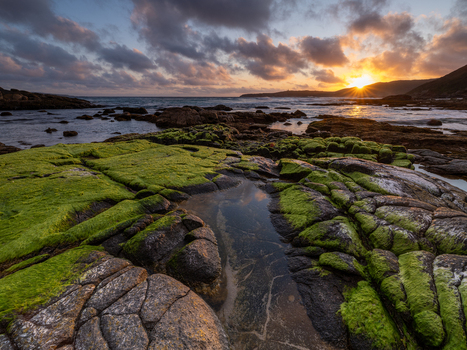 View of mossy rocks along the coastline at sunset near Blowholes Road in Torndirrup Western Australia Australia. View of mossy rocks along the coastline at sunset near Blowholes Road in Torndirrup Western Australia Australia.