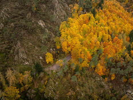 Aerial view of a winding road through the vibrant autumn forest and rocky cliffs near Poco do Inferno in Manteigas Guarda District Portugal. Aerial view of a winding road through the vibrant autumn forest and rocky cliffs near Poco do Inferno in Manteigas Guarda District Portugal.