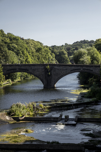View of the historic stone arch bridge spanning the River Wear surrounded by lush green trees and a river weir in Durham England United Kingdom. View of the historic stone arch bridge spanning the River Wear surrounded by lush green trees and a river weir in Durham England United Kingdom.