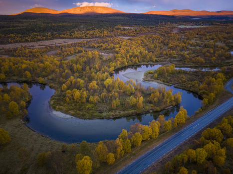 Aerial view of the winding River Ljusnan at sunrise surrounded by vibrant autumn foliage and mountains in Bruksvallarna Jamtland County Sweden.
