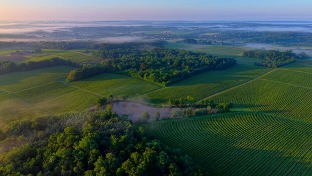 Aerial view of lush green vineyards and a small pond France. Aerial view of lush green vineyards and a small pond France.