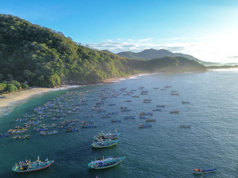 Aerial view of Papuma Beach with numerous small fishing boats anchored in the bay surrounded by lush green hills and sandy coastline in Jember East Java Indonesia. Aerial view of Papuma Beach with numerous small fishing boats anchored in the bay surrounded by lush green hills and sandy coastline in Jember East Java Indonesia.