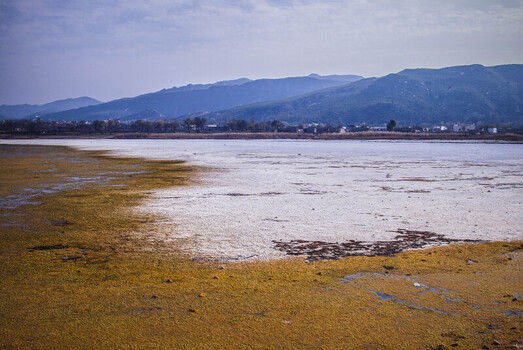 View of the marshland s golden hues meet the pale water under a sky mirroring the distant blue mountains Uchhali Lake Pakistan. View of the marshland s golden hues meet the pale water under a sky mirroring the distant blue mountains Uchhali Lake Pakistan.
