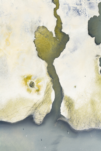 Aerial view of the abstract landscape showcases a mesmerizing blend of earthy tones where ochre meets pale cream and teal shaped by natural forces San Pedro del Pinatar Region of Murcia Spain. Aerial view of the abstract landscape showcases a mesmerizing blend of earthy tones where ochre meets pale cream and teal shaped by natural forces San Pedro del Pinatar Region of Murcia Spain.
