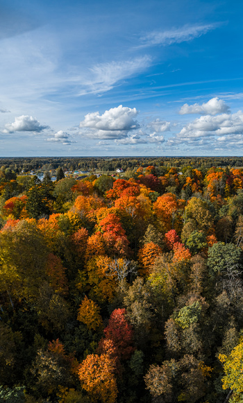 Aerial view of the vibrant autumn forest in Sigulda featuring colorful orange red and yellow foliage under a bright blue sky in Sigulda Sigulda Municipality Latvia. Aerial view of the vibrant autumn forest in Sigulda featuring colorful orange red and yellow foliage under a bright blue sky in Sigulda Sigulda Municipality Latvia.