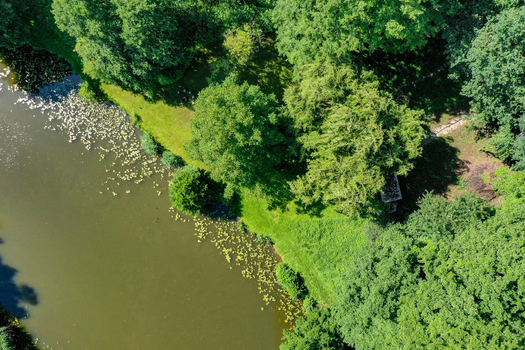 Aerial view of Regnitzaltwasser with lush green trees water lilies on the surface and a grassy bank in Forchheim Bayern Germany. Aerial view of Regnitzaltwasser with lush green trees water lilies on the surface and a grassy bank in Forchheim Bayern Germany.