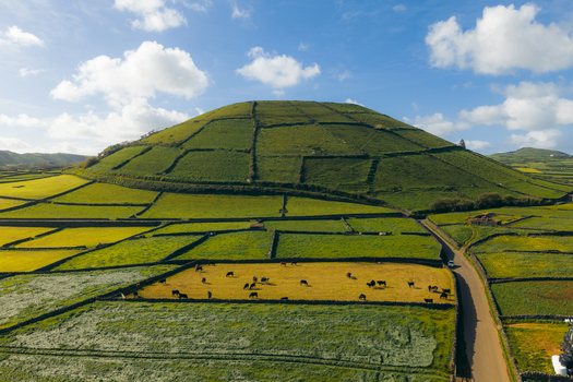 Aerial view of Pico Dona Joana volcanic cone with stone walled pastures and grazing cows under a blue sky in Feteira Acores Portugal.