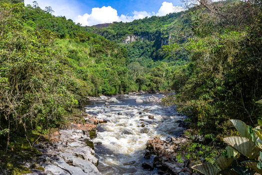 View of Estrecho del Rio Magdalena showing the narrow rushing river flowing through a lush green canyon with rocky banks and dense tropical vegetation in San Agustin Huila Colombia. View of Estrecho del Rio Magdalena showing the narrow rushing river flowing through a lush green canyon with rocky banks and dense tropical vegetation in San Agustin Huila Colombia.
