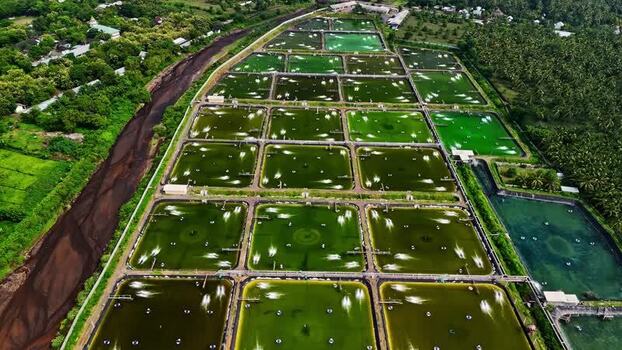 Aerial view of aquaculture ponds with aerators in Bali Indonesia.