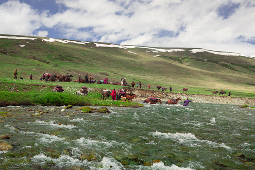 Skardu Gilgit Baltistan Pakistan 24 July 2010 View of shepherds with horses crossing a river in Deosai National Park with green meadows and snow capped mountains.