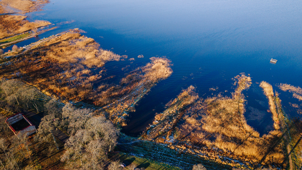 Aerial view of the scenic Burtnieki Lake coastline featuring golden reed textures and rural autumn landscape in Burtnieki Valmiera Municipality Latvia.