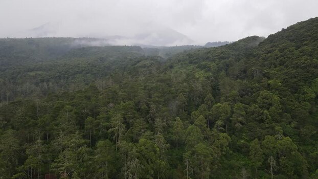 Aerial view of lush green forest and misty hills in Indonesia. Aerial view of lush green forest and misty hills in Indonesia.