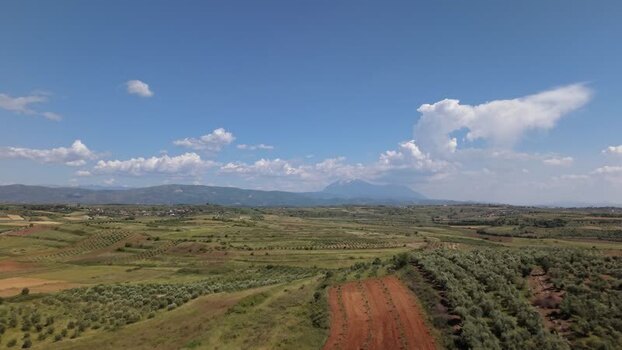 Aerial view of olive groves and fields in Belsh Albania.