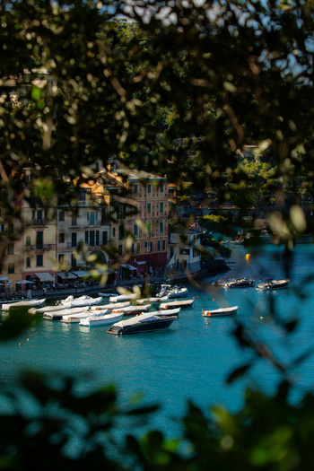 View of Portofino harbor and colorful historic buildings seen through lush green foliage with small boats moored on turquoise water Portofino Liguria Italy.