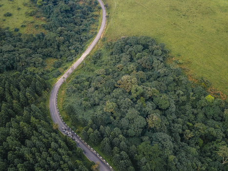 Aerial view of a winding asphalt road cutting through a vibrant green forest sharply bordering a sun drenched grassy expanse Obudu Cross River Nigeria.