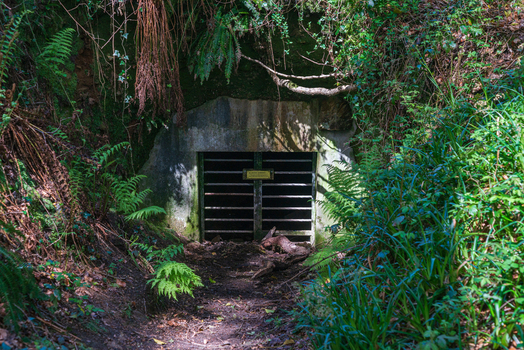 View of an old mine entrance secured with a metal gate surrounded by lush ferns and dense woodland at Golitha Falls National Nature Reserve Liskeard England United Kingdom. View of an old mine entrance secured with a metal gate surrounded by lush ferns and dense woodland at Golitha Falls National Nature Reserve Liskeard England United Kingdom.