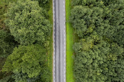 Aerial view of a straight asphalt road cutting through the dense green forest of Lahemaa National Park in Lahemaa Estonia. Aerial view of a straight asphalt road cutting through the dense green forest of Lahemaa National Park in Lahemaa Estonia.