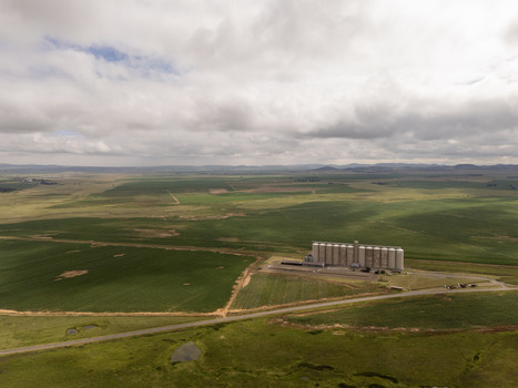 Aerial view of industrial grain silos standing amidst vast green agricultural fields under a cloudy sky near the Drakensberg Thabo Mofutsanyana District Municipality Free State South Africa. Aerial view of industrial grain silos standing amidst vast green agricultural fields under a cloudy sky near the Drakensberg Thabo Mofutsanyana District Municipality Free State South Africa.
