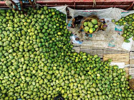 Aerial view of Sadarghat with workers loading and unloading a large shipment of watermelons on a barge in Dhaka Dhaka Division Bangladesh. Aerial view of Sadarghat with workers loading and unloading a large shipment of watermelons on a barge in Dhaka Dhaka Division Bangladesh.