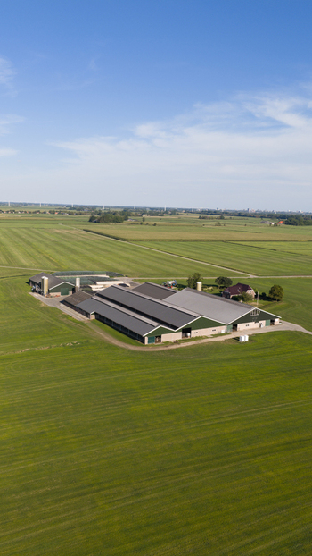 Aerial view of a large farm complex with expansive green fields and agricultural buildings in the rural landscape of Groningen Groningen Netherlands. Aerial view of a large farm complex with expansive green fields and agricultural buildings in the rural landscape of Groningen Groningen Netherlands.