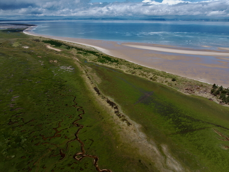 Aerial view of the Moray Firth Coast featuring sandy beaches lush green coastal grasslands and tidal channels in Nairn Scotland United Kingdom.