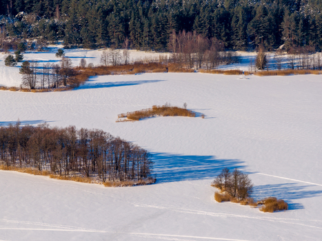 Aerial view of a frozen lake with small islands of trees and a dense evergreen forest under winter sunlight in Lithuania. Aerial view of a frozen lake with small islands of trees and a dense evergreen forest under winter sunlight in Lithuania.