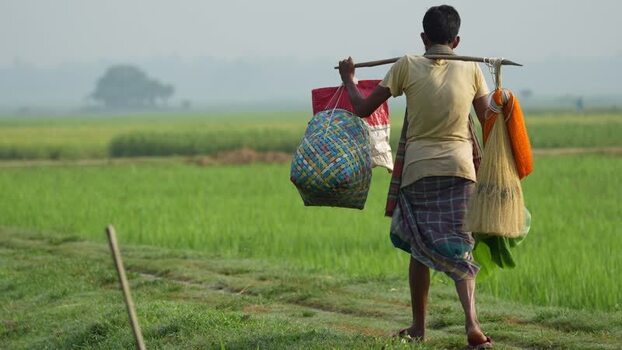 View of a man carrying goods through green fields in Bogura Bangladesh.