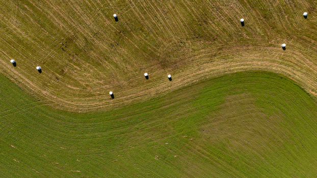 Aerial view of agricultural fields with white plastic wrapped hay bales scattered across the landscape in Poland.