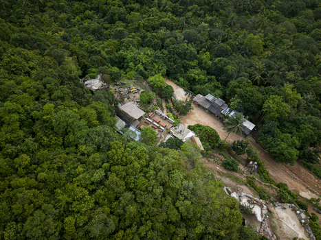 Aerial view of dense green forest enveloping small buildings and pathways on Bukit Love Karimunjawa Jawa Tengah Indonesia. Aerial view of dense green forest enveloping small buildings and pathways on Bukit Love Karimunjawa Jawa Tengah Indonesia.