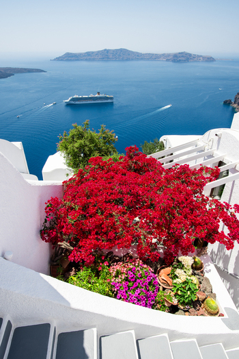 View of vibrant red bougainvillea flowers on a white terrace overlooking the caldera the Aegean Sea and a cruise ship in Fira Greece. View of vibrant red bougainvillea flowers on a white terrace overlooking the caldera the Aegean Sea and a cruise ship in Fira Greece.