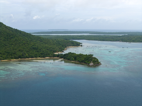 Aerial view of the vibrant turquoise waters meeting the lush green coastline near Annora beach Karimunjawa Jawa Tengah Indonesia.
