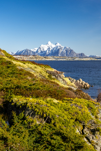 Nordland Norway 21 September 2026 Aerial view of the rugged Lofoten coastline featuring snow capped mountains rocky shores and vibrant green vegetation under a clear blue sky. Nordland Norway 21 September 2026 Aerial view of the rugged Lofoten coastline featuring snow capped mountains rocky shores and vibrant green vegetation under a clear blue sky.