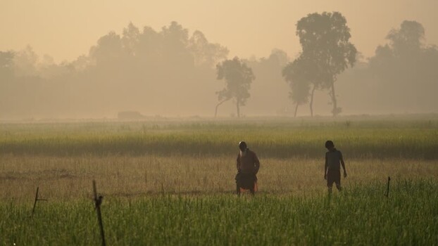 View of farmers walking through misty fields in Bogura Bangladesh.