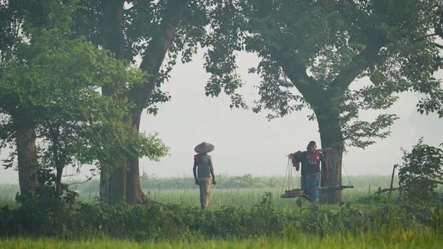 View of farmers walking through rural fields in Bogura Bangladesh