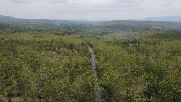 Aerial view of a narrow road winding through a dense green forest in a hilly landscape Gunungkidul Regency Special Region of Yogyakarta Indonesia. Aerial view of a narrow road winding through a dense green forest in a hilly landscape Gunungkidul Regency Special Region of Yogyakarta Indonesia.