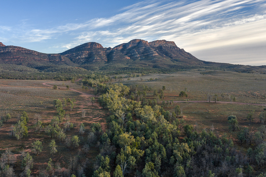 Aerial view of the Rawnsley Bluff mountain peaks with eucalyptus trees and a dirt track under a cloudy sky in Flinders Ranges South Australia Australia. Aerial view of the Rawnsley Bluff mountain peaks with eucalyptus trees and a dirt track under a cloudy sky in Flinders Ranges South Australia Australia.