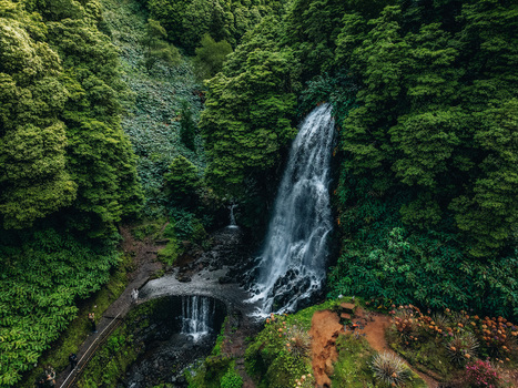 Aerial view of a cascading waterfall plunges through a vibrant verdant forest its white waters contrasting with the deep greens of the surrounding foliage Achada Açores Portugal. Aerial view of a cascading waterfall plunges through a vibrant verdant forest its white waters contrasting with the deep greens of the surrounding foliage Achada Açores Portugal.