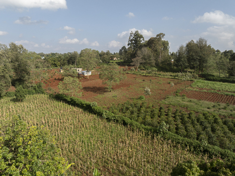 Aerial view of vibrant green crops and rich red soil meet under a vast sky a patchwork of nature s artistry. Nyeri Nyeri Kenya. Aerial view of vibrant green crops and rich red soil meet under a vast sky a patchwork of nature s artistry. Nyeri Nyeri Kenya.
