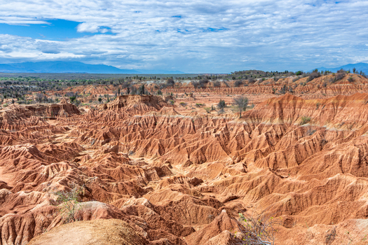 View of the eroded red clay formations and cacti of the Tatacoa Desert Red Desert under a cloudy sky in Villavieja Huila Colombia.