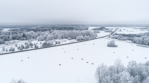 Aerial view of a snow covered landscape in Latvia featuring a winding road cutting through frozen fields and frost covered trees under a cloudy winter sky. Aerial view of a snow covered landscape in Latvia featuring a winding road cutting through frozen fields and frost covered trees under a cloudy winter sky.
