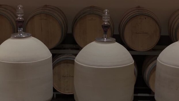 View of wine fermentation vessels and barrels France.