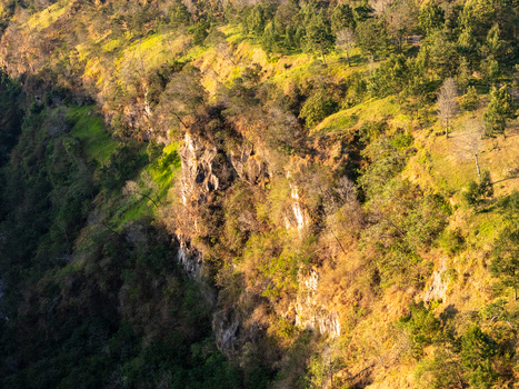 Aerial view of a steep rocky cliffside covered in lush trees and vegetation illuminated by warm golden hour sunlight in Kemalang Central Java Indonesia. Aerial view of a steep rocky cliffside covered in lush trees and vegetation illuminated by warm golden hour sunlight in Kemalang Central Java Indonesia.