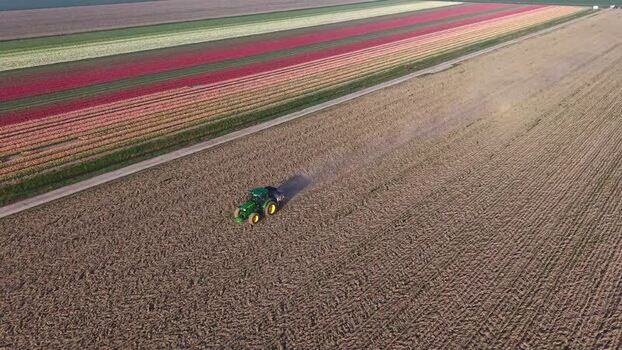 Aerial view of a tractor working in a field near tulip rows Netherlands.