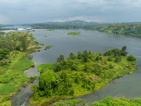 Aerial view of a lush green island nestled along the mighty River Nile surrounded by dense vegetation and calm waters in Jinja Eastern Region Uganda.
