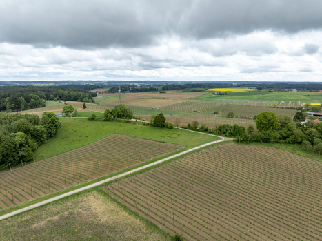 Aerial view of vast agricultural fields and hop gardens under a cloudy sky in the rural landscape Aiglsbach Bavaria Germany.