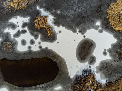 Aerial view of the contrasting textures of ice and vegetation create a captivating landscape in Kromslootpark Almere Flevoland Netherlands. Aerial view of the contrasting textures of ice and vegetation create a captivating landscape in Kromslootpark Almere Flevoland Netherlands.