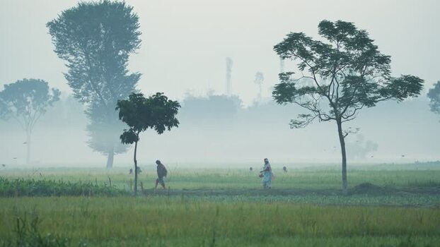 View of people walking in a misty field in Bogura Bangladesh. View of people walking in a misty field in Bogura Bangladesh.